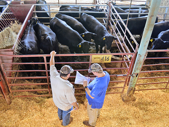 Dr. Ken McMillan relies on Dr. Jim Floyd&#039;s "Seven Quality Checks" to make good culling decisions and NCBA&#039;s little Redbook for recordkeeping. (Progressive Farmer image by Victoria G. Myers)